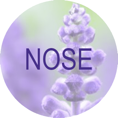 Display picture with the word Face on it and a light violet flower background