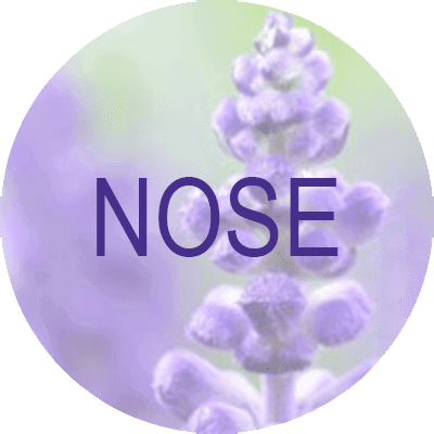 Display picture with the word Face on it and a light violet flower background